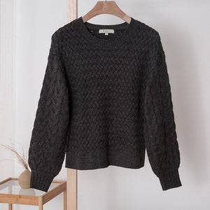 Cotton Knitted Sweater Women Pullovers Autumn Winter Basic Women Sweaters Korean Style Loose and elegant